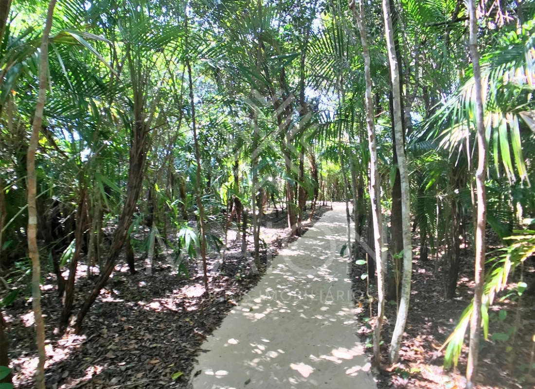 alugar casa trancoso ba